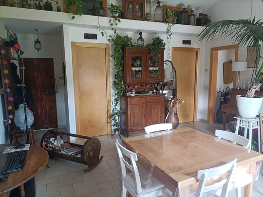 rent four-room apartment in university area