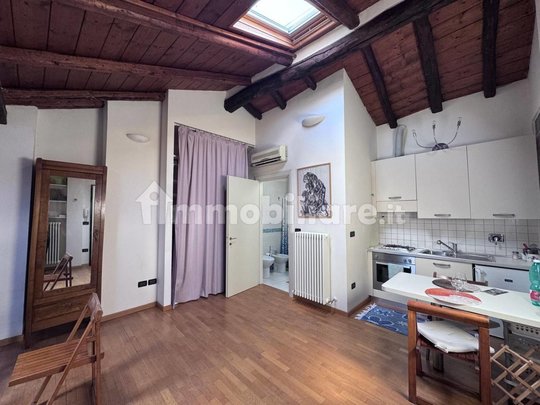 RENOVATED STUDIO APARTMENT WITH ADJACENT ATTIC